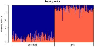 Selection Signatures in South African Nguni and Bonsmara Cattle Populations Reveal Genes Relating to Environmental Adaptation